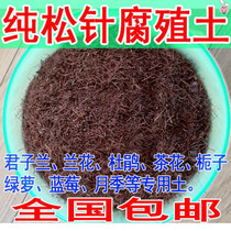 Pine needles humus soil orchid plant Clivia special soil green Chlorophyta acidic nutrient soil fleshy flower soil