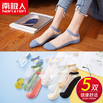 South Pole Sox Children Summer 5 Double Clothing Short Socks Light Mouth Small Daisy Summer Thin Cotton Mesh Yarn Invisible Tide TC