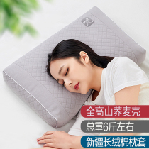 Upper Van Full Buckwheat Pillow Buckwheat Leather Pillow Core Sleep Pillow Alpine Bitter Buckwheat Shell Pillow Cervical Spine Insomnia Pillow