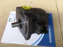 Vane pump gear pump Vp20Vp30Vp40 hydraulic fittings pump station cylinder YB1YBD