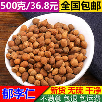 Bo-Yu Li Ren 500g Chinese herbal medicine Yu Li Ren new goods Yu Li Renshan plum Xiao Li Ren meat
