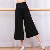 Dance pants Womens thin summer loose high waist body pants Black wide leg pants Dance practice pants Straight three-point pants