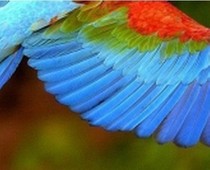 Postage freight express fee difference