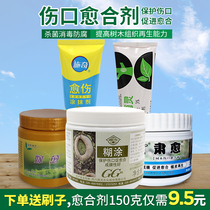 Wound healing agent Guoguang muddle callus coating agent plant tree pruning fruit tree sealing disinfection antiseptic coating