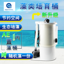 AE built-in algae tank Seawater high algae cultivation Coral fish in addition to NO3 god barrel algae tank Algae box fish tank bottom tank