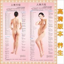 Body twelve meridians and acupressure points Human body map large wall chart health hall household pictures full body HD 12 inch
