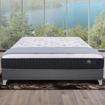 Serta US Shoda Giles Latex Mattress Fabulous Button-down Spring Edge Reinforcement Official Flagship Store