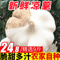 Pure fragrant fruit cold potato seasonal sweet potato fresh sweet potato farmhouse self-planted white sweet potato 9kg large fruit box 10