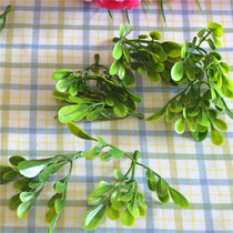 Silk Flower Accessories Diy Handmade Silkscreen Flower Flower Arrangement Accessories Emulation Flower Leaf Emulation Winter Green Leafy Silk Stocking material