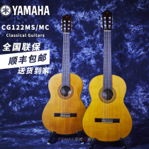 Yamaha Yamaha CG122MS MC CG192C S Veneer Classical Guitar Nylon Strings