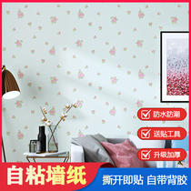 Environmentally friendly childrens house self-adhesive non-woven fabric wall paper field small flower cozy bedroom home wallpaper boy girl sticker
