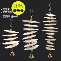 Parrot grinding teeth with parrot cuttlefish bone skewers cuttlefish bone bird with calcium toys to gnawing grind mouth to feed turtle black