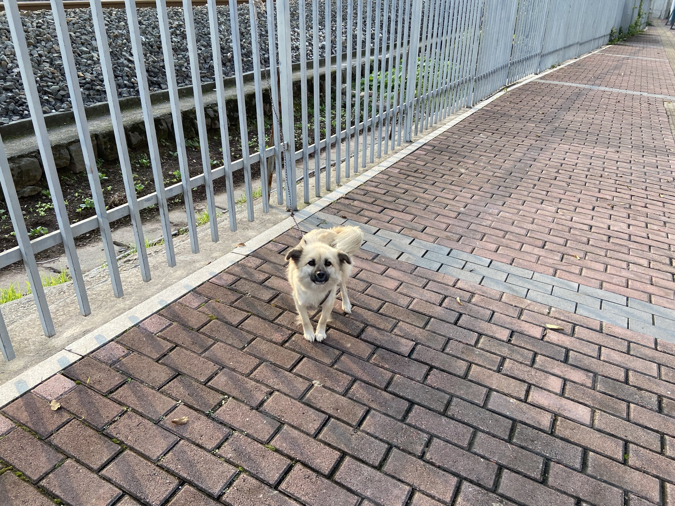 斐思妮面膜伤口敷料怎么样？质量好不好？