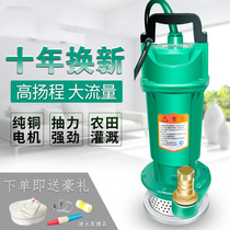 Household submersible pump 220V pump Well water pump Outdoor watering pump Agricultural sewage pump