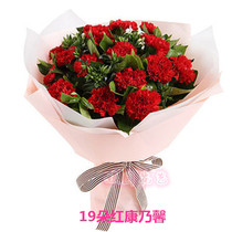 Carnation Changzhou City Jiangsu Province Tianning Wujin Bell Tower Xinbei District Tongcheng Flower Shop Express Delivery Flowers