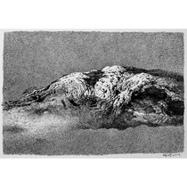 Du Cheng Yin That Mountain paper new pen drawing with group photo Video