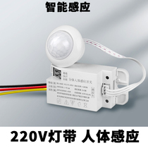 220V light strip High-power LED intelligent light control infrared module Corridor human body induction switch 220V light strip