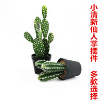 New photography props simulation cactus plant cactus potted hipster decorative green plant ornaments