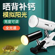 Turtle basking back lamp Sun repert heating lamp turtle cylinder sun lamp calcium supplement heating lamp set lamp