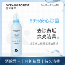 (Wenyi Direct Podcast) Bathrooms Multi-functional scents cleaning mousse dehydrate Stain Removal Foam Decontamination