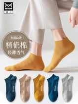 Cat Man Spring and Summer Pure Cotton Socks Sports Breathing and Breathing and Pure-colored Light Mouth Anti-Sliding Trend