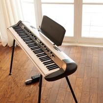 korg sv2s retro stage Electric piano continuation sv1 stage Electric piano classic 88 keys
