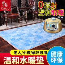 Caiao electric floor mat heating mat heating plumbing mat non-radiation plumbing electric blanket 200*100