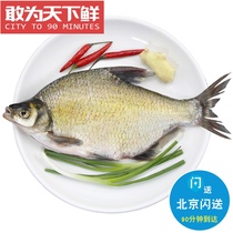 1 5-1 6 jins Beijing flash delivery fresh live bream Wuchang fish freshwater fish aquatic products can be cleaned