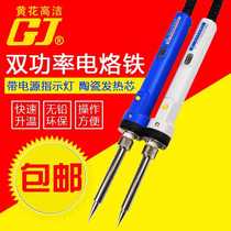 Yellow Flower Electric Iron NO 801802 Adjustable Double Power Electric Loiron Endothermic Soldering Gun Multifunction Electric Welding Pen