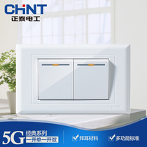 Chint Type 118 wall switch socket double two position two open 1 one open dual control one open single control switch panel
