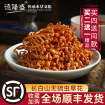 500g sulfur-free Cordyceps flower spore head dry goods super wild fresh North golden pupa soup chicken soup material