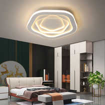 Master bedroom lamp simple modern led ceiling lamp creative personality warm art living room lamp Nordic lamp lighting