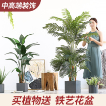 Nordic simulation plant decoration Sanwei sunflower traveling banana large green plant potted fake bonsai ornaments