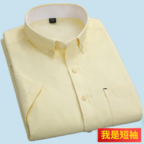 Cotton mens short sleeve yellow shirt slim cotton non-iron dress middle-aged Oxford business work clothes