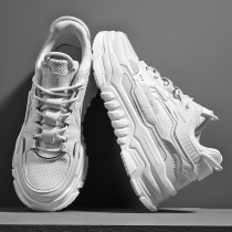 Daddy shoes male summer breathable 2022 new sneaker white shoes increase mesh casual sports small white shoes men