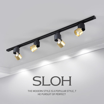 Sangli Ouhua track light led spotlight TV background wall light luxury black gold style cafe exhibition guide rail Light