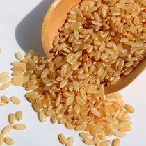 Northeast Wuchang Brown Rice Five Jin Brown Rice Rough Rice Rice Rice Flower Fragrant Farmhouse can germinate New Rice Red Rice Germination Rice