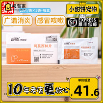 Anatasilin Ann amoxicillin rapid pneumonia broad-spectrum anti-inflammatory cat nasal tract urinary tract infection cold cough