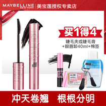 (New Asian Custom) Maybelline New York Sky Curling Mascara Fine Curls Unstained Authentic