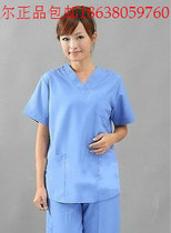 Nightingale Special Nurse Doctors Clothing Beauty Suffer Suit Surgical Clothes Brush Hand Clothes Long and Short Sleeve