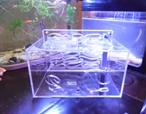 Falling Snow Ant Pavilion ‖ Acrylic Ant Nest ‖ D2 (layered version)