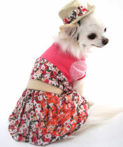 Pet dress with hat set of pet clothes dog clothes