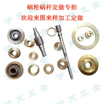 One-year warranty custom-made worm gear worm gear 1-20 mold tin bronze aluminum bronze