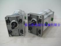 CBN-E310 CBN-E310 E310-CLH double gear pump for a double gear pump