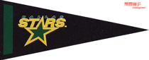 Official Triangle Flag Team of the NHL Dallas Stars