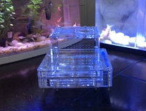 Falling Snow Ant Pavilion ‖ Acrylic Ant Nest ‖ Ant Villa ‖ Spaceship