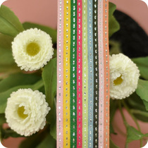 Handmade DIY Eva Clothes Girdle Gift Wrapping Butterfly Knots Silver Wire Dotted Jumper Colored Rostrie Webbing 4mm5mm