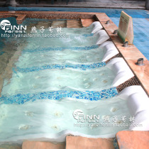 Swimming pool spa pool equipment acrylic massage water bed 9 mouth 11 mouth water bed factory direct sales