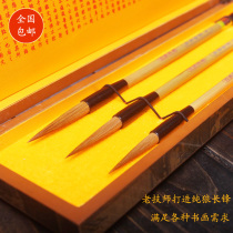 Lake Pen Boutique Pure Wolf Mush Brush Suit Ink Sea Feihong Large Small And Medium Calligraphy Gift Long Front Suit