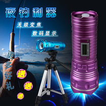 Fishing lights Night fishing lights Blue white light purple light yellow light two light sources 20W four light sources 40W rechargeable zoom luminous